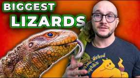 5 HUGE Lizards That Make THE BEST Pets!