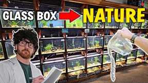 Improve Your Natural Aquariums Curb Appeal! - Easy Blueprints! w/ Aquarium Co-Op
