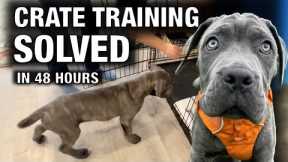 Episode 7: 2 Problems Solved! Mastering Crate Training & Getting the Dogs to Get Along ￼