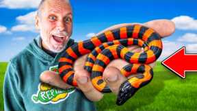 Unboxing Crazy And Super Rare New Reptiles!