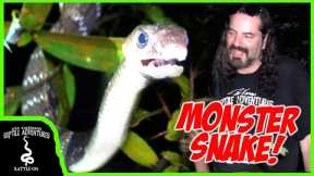 FINDING THE BIGGEST TYPICAL SNAKE (Colubrid) IN THE WORLD IN SINGAPORE!