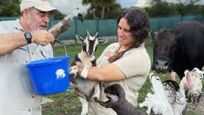 This is Blake's Exotic Animal Farm🤩