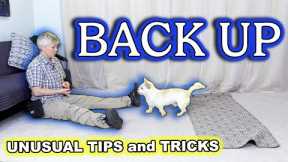 FUN and UNUSUAL tips and tricks for training BACK UP