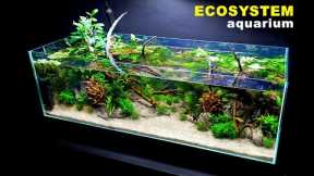 HOW TO: ECOSYSTEM AQUARIUM, NO WATER CHANGES | Full Step By Step Tutorial | MD FISH TANKS