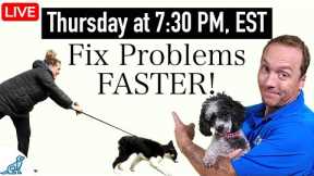 7 Dog Training Mistakes You NEED To Avoid!