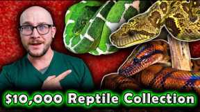Reptile Nerd Buys INSANE $10,000 Reptile Collection!