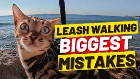 If You’re Walking Your Cat DON’t MAKE THESE 10 MISTAKES