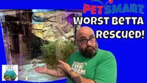 Betta Rescue Episode 1 How to set up a Betta Tank
