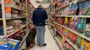 How to train a dog / How to train your dog: The Basic Principles of Dog Training