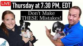 7 Puppy Training Shortcuts That UNDO Your Training!