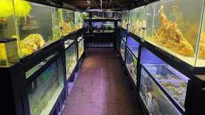 FISH ROOM UPDATE | NEW AQUARIUM + NEW FISH