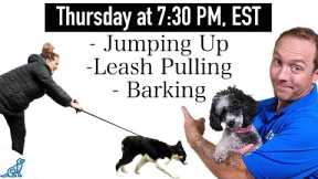 3 Dog Training Steps To STOP Any Unwanted Behavior!
