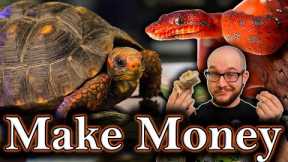 5 Ways To Make REAL MONEY With Reptiles | Not Chump Change, An Actual Career!