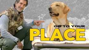 Teach Your DOG The PLACE Command - Go To Your Place - Robert Cabral Dog Training Video