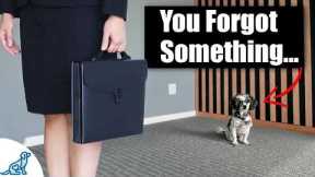 5 Mistakes You’re Making With Your Puppy Every Morning