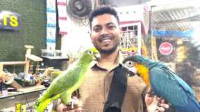 Wajid exotic pets new offers