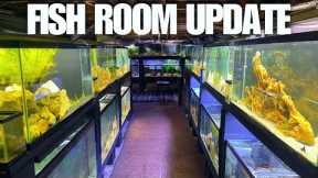 NEW AQUARIUM + NEW FISH IN THE FISH ROOM!