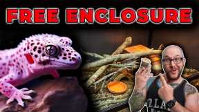 I Built an INSANE Bioactive Reptile Enclosure for ZERO Dollars!