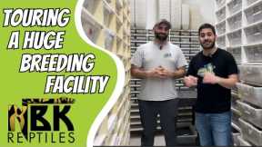 Touring One Of Canada's Largest Reptile Breeding Facilities!