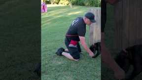 How to EASILY Teach Your Dog to Roll Over