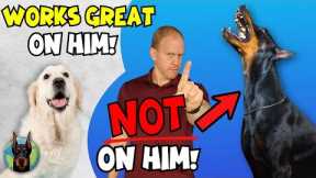 5 Training Techniques NEVER to Use on a Doberman