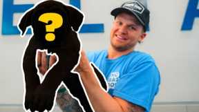 I Got The Most Protective Dog In The World!