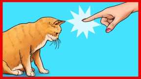 21 Ways You Are Hurting Your Cat Without Realizing