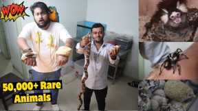 I MET WITH THE Indoriya EXOTIC PET KING😱😍 - Iguana, Snakes, Big Spider, Monkey Etc.