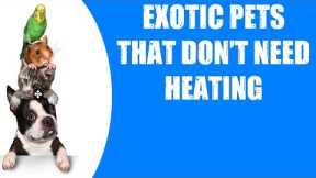 EXOTIC PETS THAT DON'T NEED HEATING