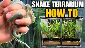 UPGRADING RHINOCEROS RATSNAKES INTO BIOACTIVE TERRARIUMS!