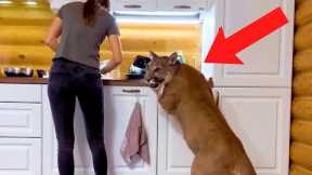 Unusual Animals That People ACTUALLY Own As Pets!