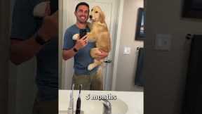 Puppy transforms into a teenager in 20 seconds