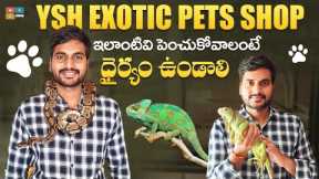 Exotic Pets Shop In Hyderabad || Ysh Exotic Pets || Hyderabad Pets Shop || Tamada Media