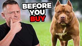 Is the PIT BULL Right For You?