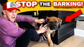 Why I ALMOST Gave Up Crate Training My Puppy!- Puppy Training Guide