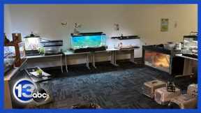 22 exotic animals found abandoned after tenant was evicted