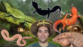 REPTILE house TOUR! | Spring 2024