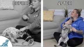 Why Are You ALLOWING Puppy Biting?