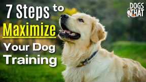 7 Easy Steps To Maximize Your Dog Training Experience