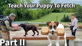 Teach Your Puppy To Fetch Part Two | Labrador Retriever Puppy Training Session