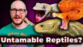 Top 5 Most Difficult To Tame Reptiles, But The Most Rewarding!