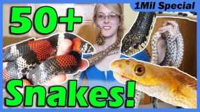 Reptile Room Tour 2019!! Meet My Pets!