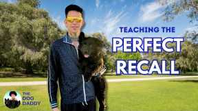 How To Teach Your Dog The Perfect Recall/ Their Name For The Real World Distractions.