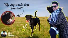 I Met A Subscriber And Solve Her Dog’s Dilemma With A Single Touch.