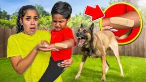 OUR NEW DOG BIT OUR SON ZAKYIUS…