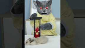 What Horrors Unfold When Magic’s Secret Is Exposed?😱 #funnycat #prank #magic