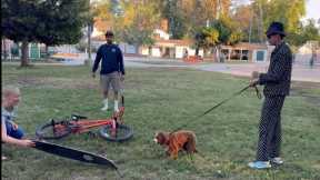 How To Get A Dog Over Their Fears FAST!!