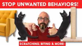 How to Get Your Cats to Stop... Everything You Hate: Every No Needs a Yes!