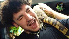 BEST REPTILE ROOM ON YOUTUBE | HOW TO BUILD CUSTOM DIY MONITOR LIZARD PARADISE