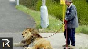 10 EXOTIC Pets That Should Be BANNED